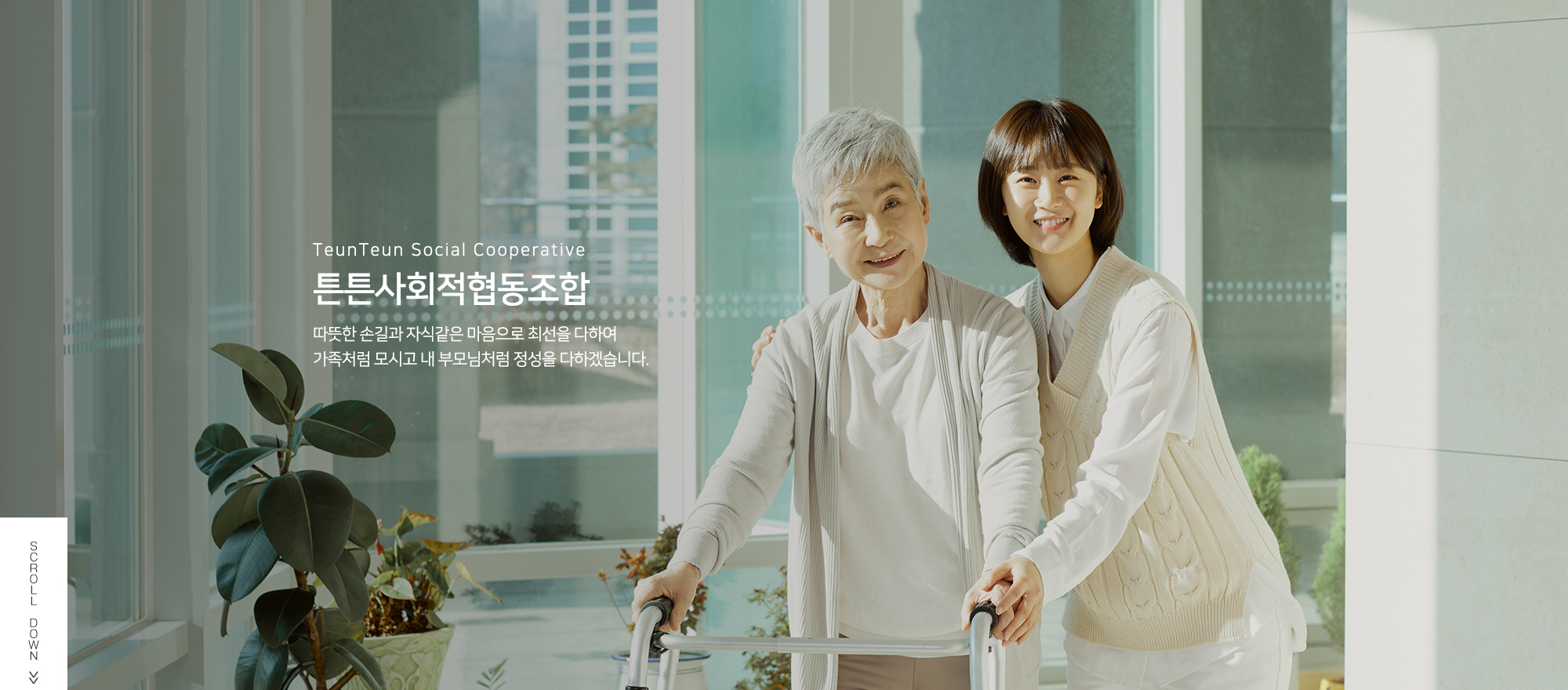 20241217172612_cmAf45BD.jpg_carousel_강서구통합간호간병 튼튼사회적협동조합_강서구통합간호간병 튼튼사회적협동조합, 강서구간병인업체, 강서구통합간호간병, 강서구개인간병, 강서구공동간병, 강서구장기요양, 강서구장애인활동보조서비스, 은평구간병인업체, 은평구통합간호간병, 은평구개인간병, 은평구간병인